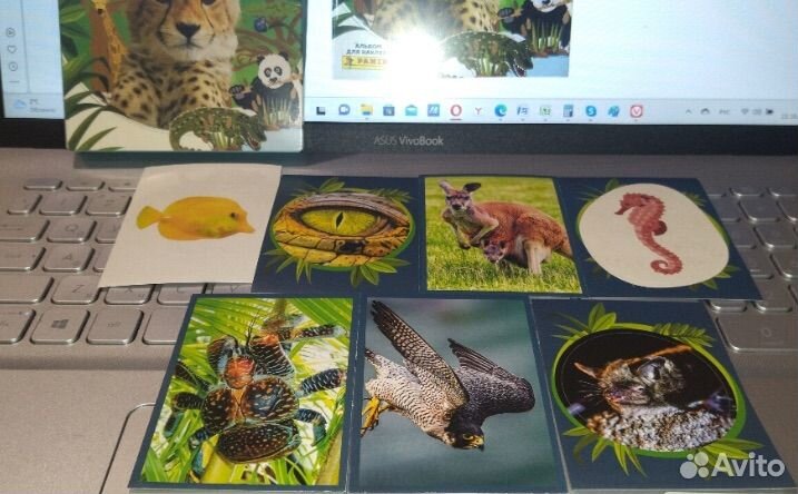 Наклейки Мир Животных Panini