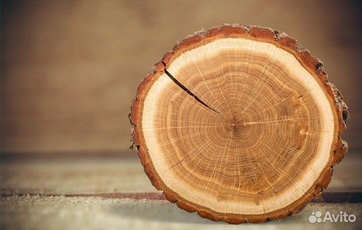 Оператор деревообработки/ без опыта