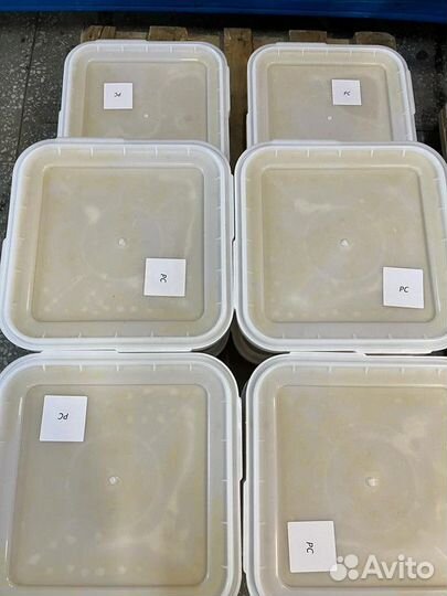 Лесной мед оптом