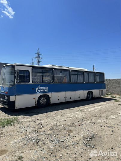 Междугородний / Пригородный автобус Ikarus 256, 2001