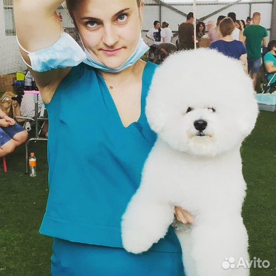 Стрижка собак и кошек салон 