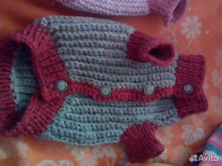 Одежда для собак