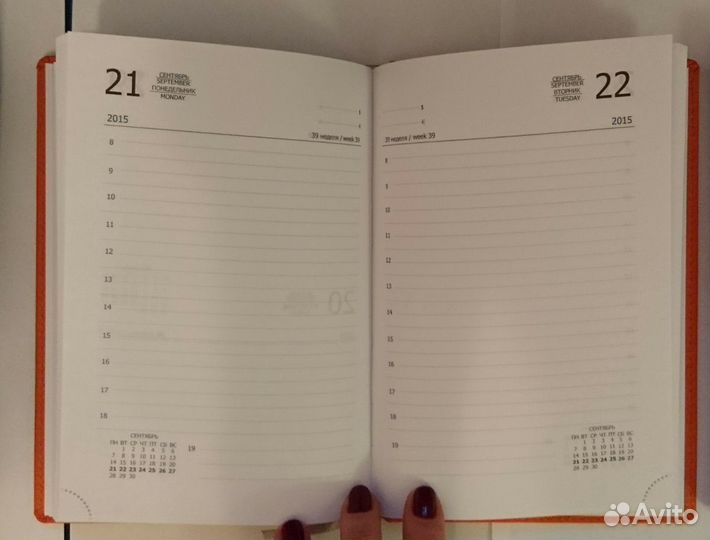 Ежедневник прошлых лет