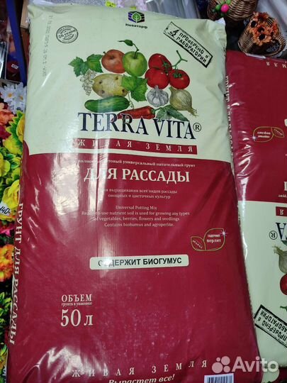 Грунт для рассады