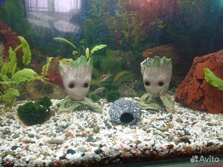 Аквариум 150л