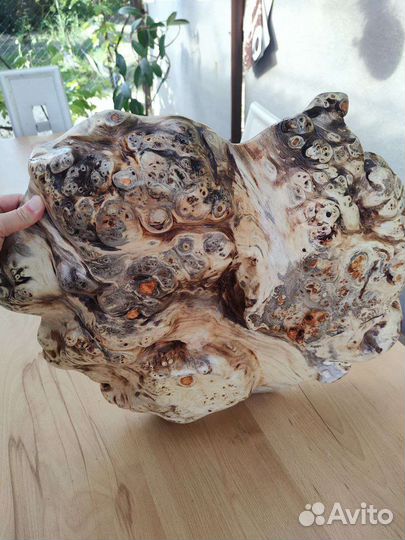 Чаша из Тополя