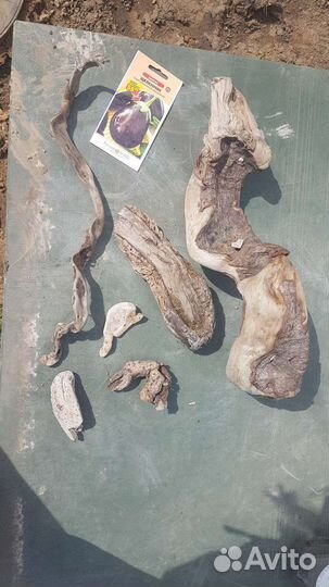 Коряги для террариума или для аквариума