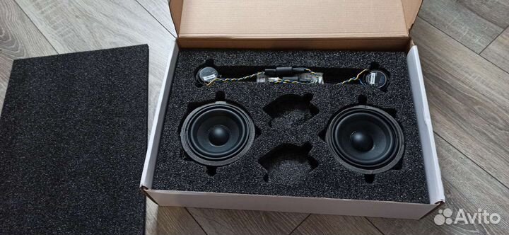 Динамики steg bm54c