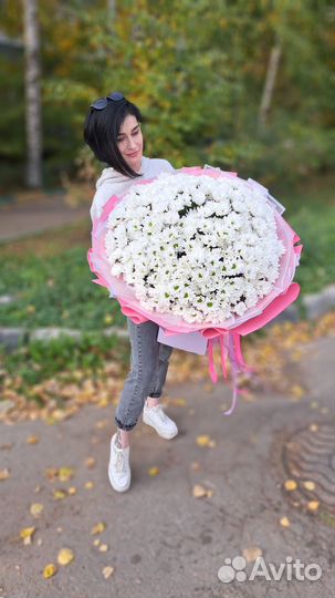 Букет xxxxxl из ромашек (хризантемы)