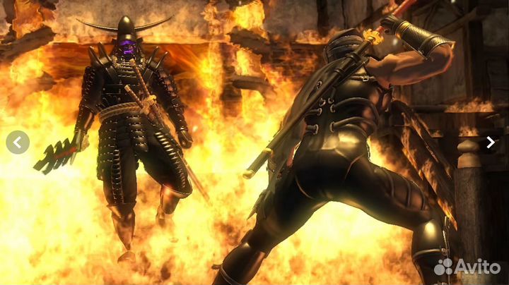 Ninja gaiden для Nintendo Switch