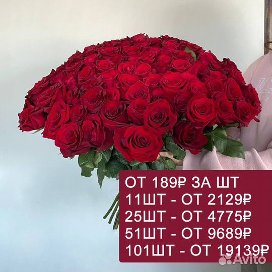 Красные розы Эквадор. Букеты с доставкой