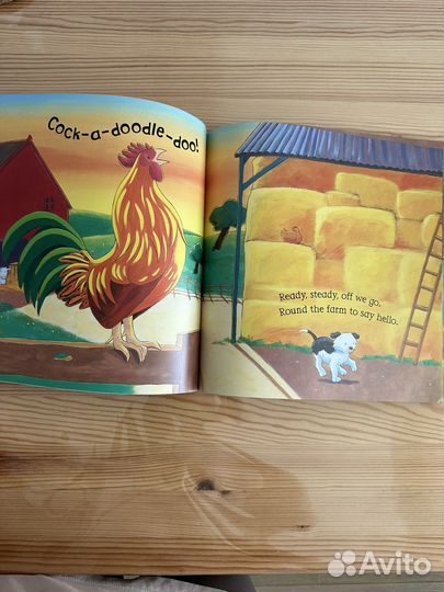 Say hello to the animals