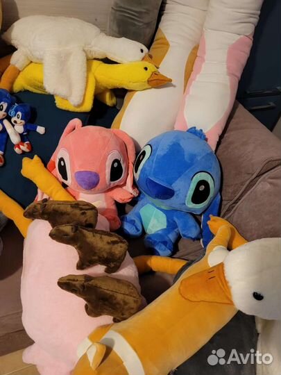 Кот Батон, акула, капибара, гуси, стич, соник