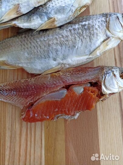 Вобла Каспийская