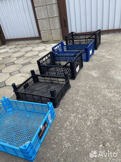 Ящики под фрукты и овощи