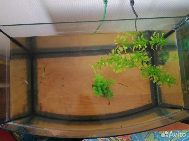 Аквариум на 50 литров