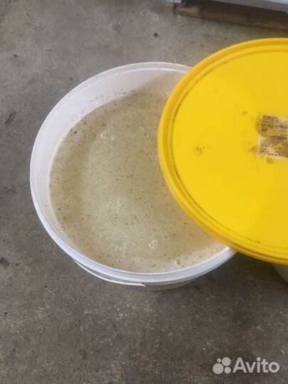 Мед белая акация оптом