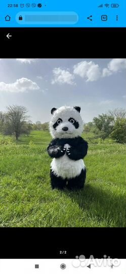 Поздравление от ростовых кукол