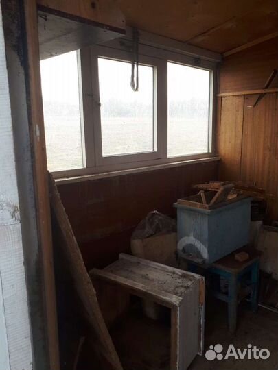 Пчело павильон