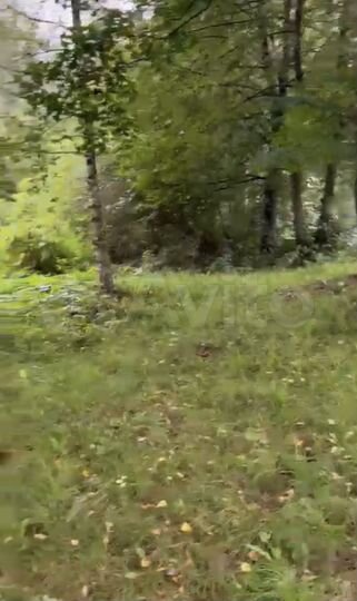 Участок 7,8 сот. (ИЖС)