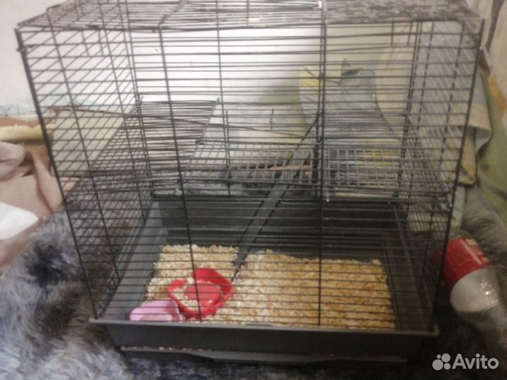 Клетка для грызунов