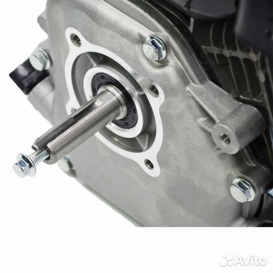 Двигатель бензиновый daman DM107P19 DM107P20