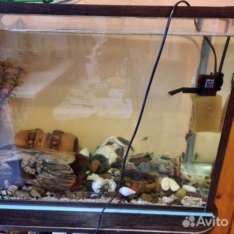 Аквариум
