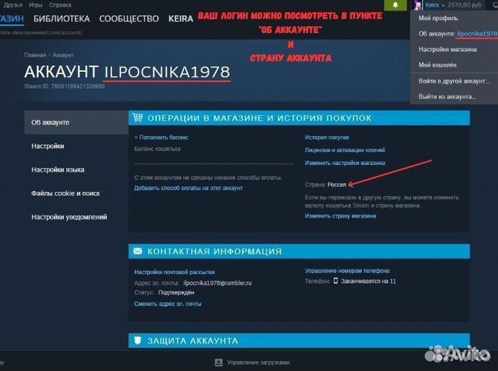 DayZ купить игру steam, пополнить кошелек стим