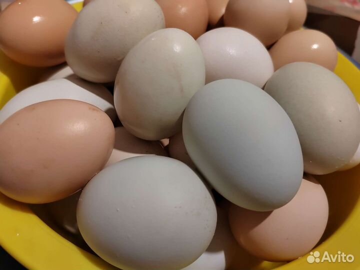 Мед, яйца и подсолнечное масло с доставкой