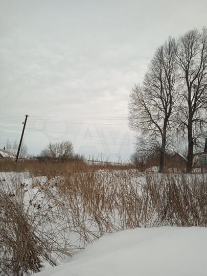 Участок 54 сот. (СНТ, ДНП)