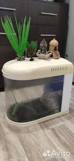 Аквариум