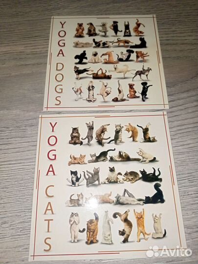 Квадратные открытки