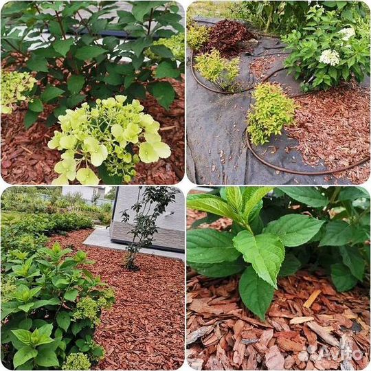 Мульча из коры лиственницы 60