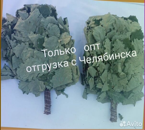 Веник для бани береза дуб травы опт под заказ