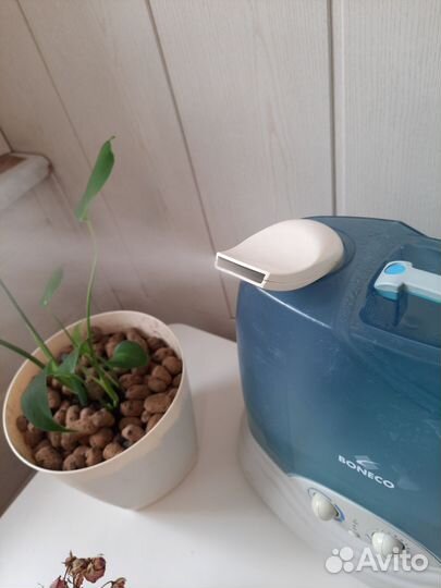 Увлажнитель Boneco