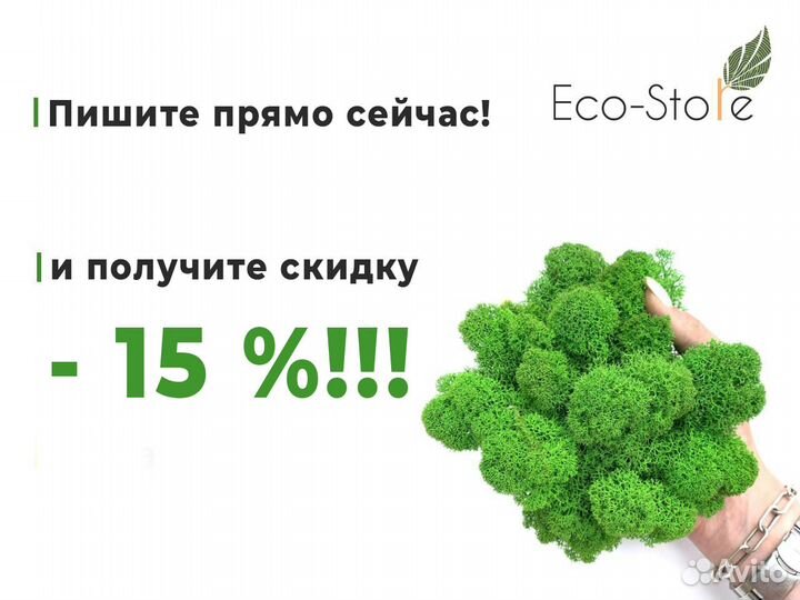 Название компании из мха без растений