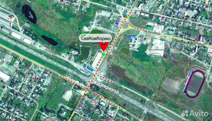 Сено 15-25 кг. в квадратных тюках