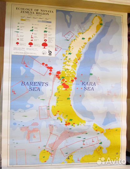 Карта экологии Новой Земли