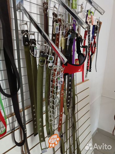 Ошейники и поводки для собак новое