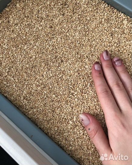 Кошачий Наполнитель Комкующийся