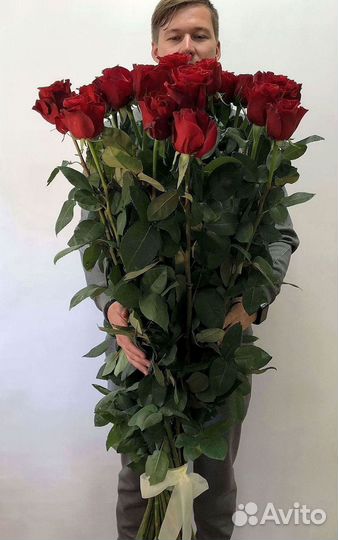 Розы Букеты Цветы Розы 31 101 151 201 Доставка