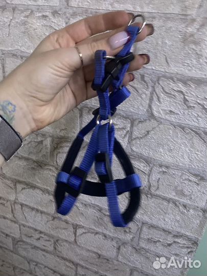 Шлейка для маленькой собаки