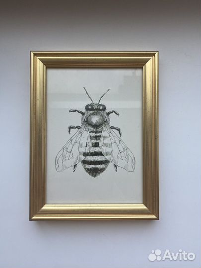 Рамки для фото