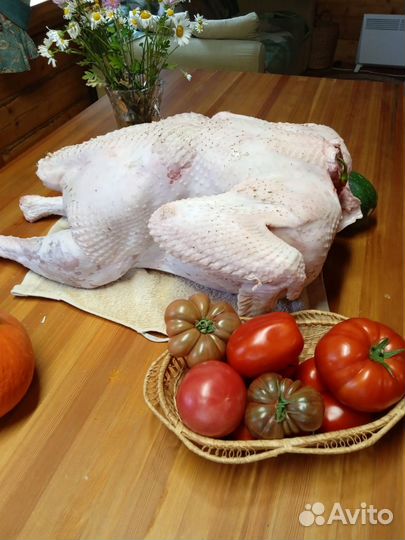 Мясо идейки домашнее