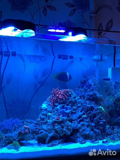 Морской аквариум 57л