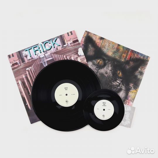 Alex G Trick vinyl