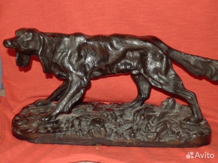 Сеттер 1996 куса