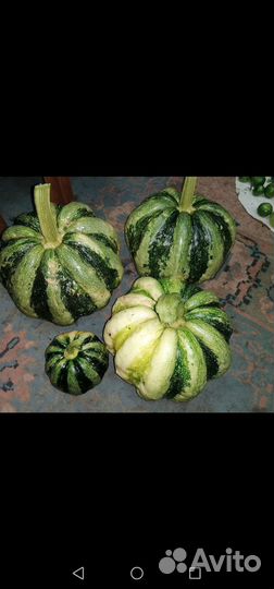 Семена тыквы