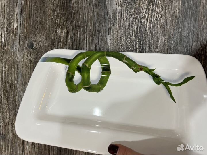 Блюдо бренд viva керамика коллекционное