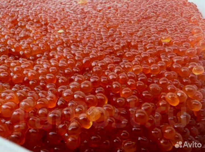 Красная икра горбуши